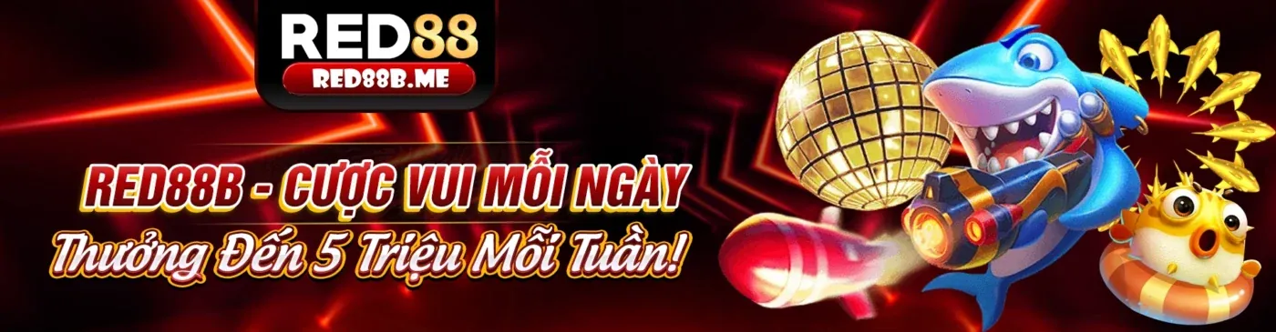 Banner chính trang Câu Hỏi Thường Gặp mcw678