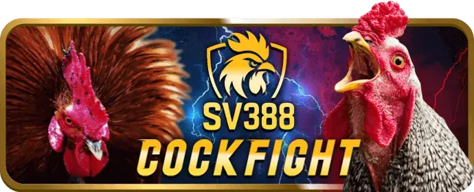 Ưu đãi chào mừng thành viên mới MCW678