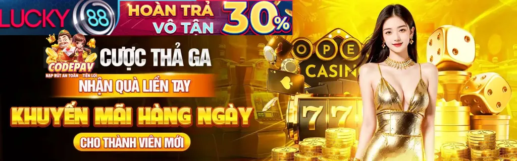 Các câu hỏi thường gặp